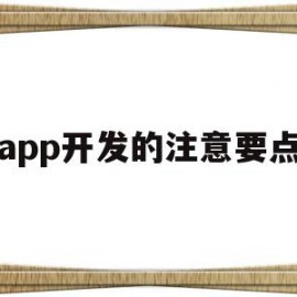 app开发的注意要点(app开发的注意要点有哪些)
