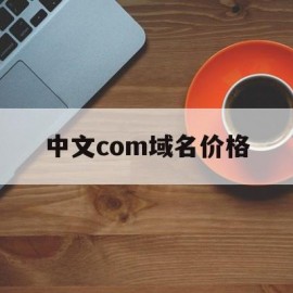 中文com域名价格(中文com域名价格查询)