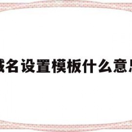 域名设置模板什么意思(域名设置模板什么意思呀)