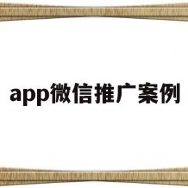 app微信推广案例(微信推广app违法吗)