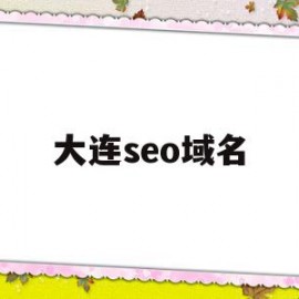 大连seo域名(大连seo全网营销)