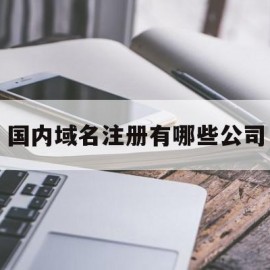 国内域名注册有哪些公司(国内域名注册有哪些公司好)