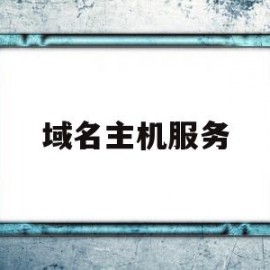 域名主机服务(域名主机服务器)