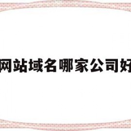 网站域名哪家公司好(公司的网站域名是什么)