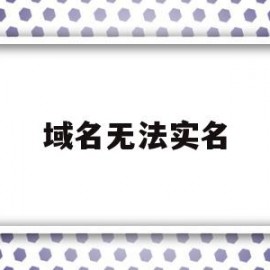 域名无法实名(域名无法实名认证)