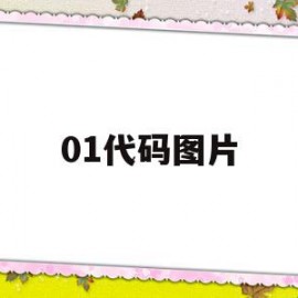 01代码图片(0101代码图片)