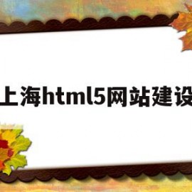 上海html5网站建设(上海网站建设技术支持)