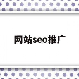 网站seo推广(网站seo推广软件)