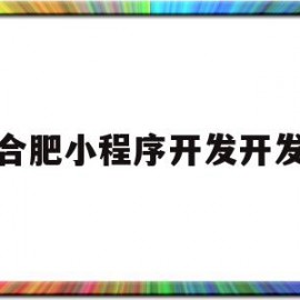 合肥小程序开发开发(合肥开发app的公司)