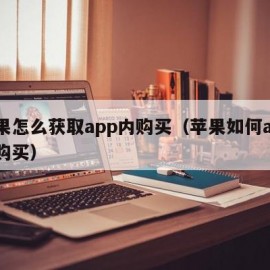 苹果怎么获取app内购买（苹果如何app内购买）