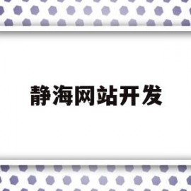 静海网站开发(静海网站开发招聘)