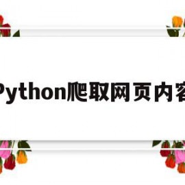 Python爬取网页内容(python爬取网页内容生成word)