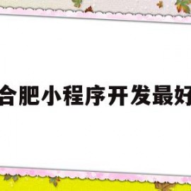 合肥小程序开发最好(合肥做小程序的开发公司)