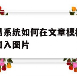 动易系统如何在文章模板页中加入图片(动易系统如何在文章模板页中加入图片背景)