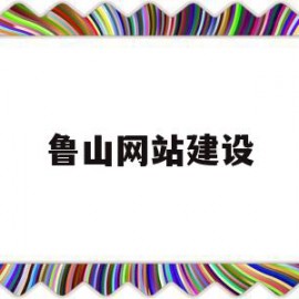 鲁山网站建设(鲁山县招标公告)