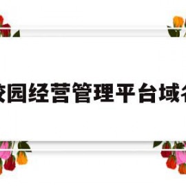 和校园经营管理平台域名是(校园网运营商域名绑定错误)