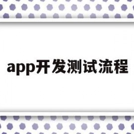 app开发测试流程(app开发测试流程是什么)