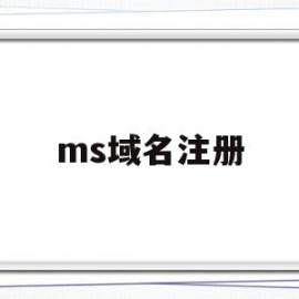 ms域名注册(sb域名注册)