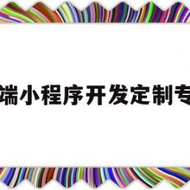 高端小程序开发定制专家(小程序定制小程序开发)