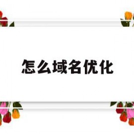 怎么域名优化(如何让域名升值)