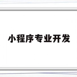 小程序专业开发(小程序开发就业前景)
