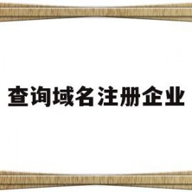 查询域名注册企业(如何查询域名注册人联系方式)