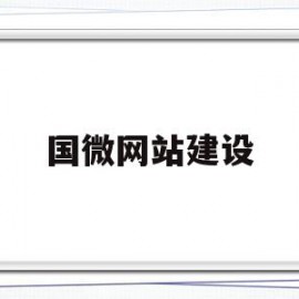 国微网站建设(网站建设企业咨询)