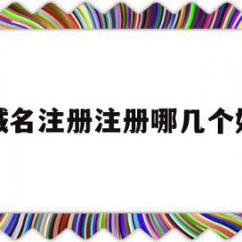 域名注册注册哪几个好(域名注册选择哪个注册商好)