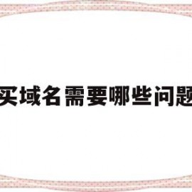 买域名需要哪些问题(买域名是怎么回事)