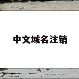 中文域名注销(中文域名注册价格及续费)
