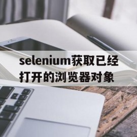 包含selenium获取已经打开的浏览器对象的词条