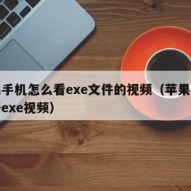 苹果手机怎么看exe文件的视频（苹果怎么打开exe视频）