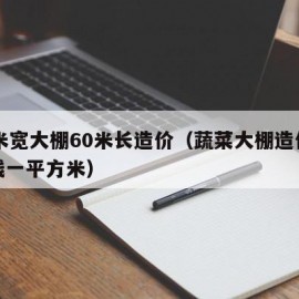 10米宽大棚60米长造价（蔬菜大棚造价多少钱一平方米）