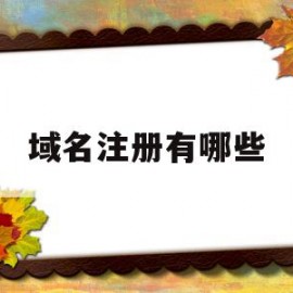 域名注册有哪些(域名注册有哪些网站)