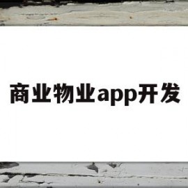 商业物业app开发(开发一个物业服务app需要多少钱)