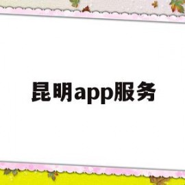 昆明app服务(昆明本地app排行)