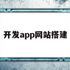 开发app网站搭建(开发app需要多少资金)