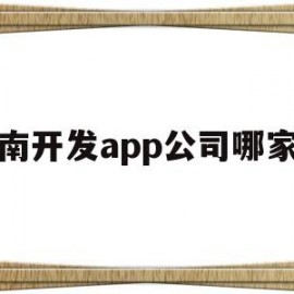 云南开发app公司哪家好(云南软件开发培训学校)