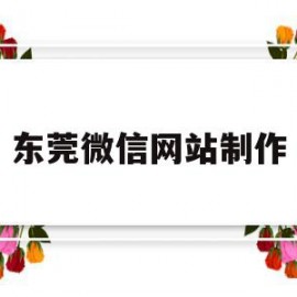 东莞微信网站制作(东莞网站制作和推广)
