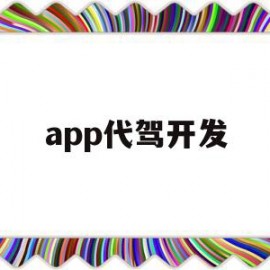 app代驾开发(app代驾软件开发)