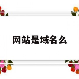 网站是域名么(域名停靠网站应用)