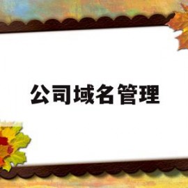 公司域名管理(公司域名管理建议)