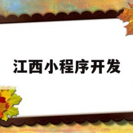 江西小程序开发(江西小程序开发制作)