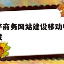 电子商务网站建设移动电商开发(电子商务网站建设移动电商开发方案)