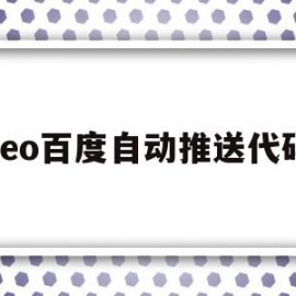 seo百度自动推送代码(seo百度自动推送代码怎么设置)
