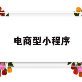 电商型小程序(电商类小程序)