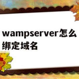 wampserver怎么绑定域名(wampserver怎么使用php)