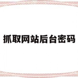 抓取网站后台密码(如何抓取网页登录账号及密码)