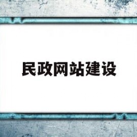 民政网站建设(民政综合业务信息平台)