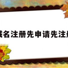 域名注册先申请先注册(域名的先申请先注册原则体现了域名的哪项法律特征)
